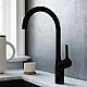 Заказать Смеситель для кухни AM.PM X-Joy S F85B07022 в магазине сантехники Santeh-Crystal.ru