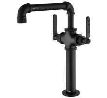 Смеситель для кухни Paulmark Loft LO226006-401