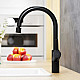 Заказать Смеситель для кухни Damixa Eclipse DX310722300 в магазине сантехники Santeh-Crystal.ru