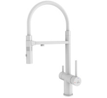 Смеситель для кухни с подключением к фильтру Rose R958C