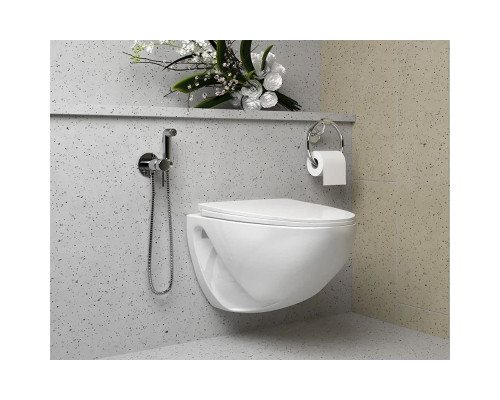 Заказать Гигиенический комплект Paini Imola 53CR442RRUABS в магазине сантехники Santeh-Crystal.ru