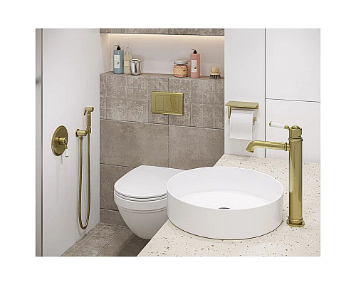 Заказать Гигиенический комплект Timo Arisa 5309/02SM в магазине сантехники Santeh-Crystal.ru