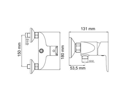 Заказать Смеситель для душа WasserKRAFT Leine 3502 в магазине сантехники Santeh-Crystal.ru