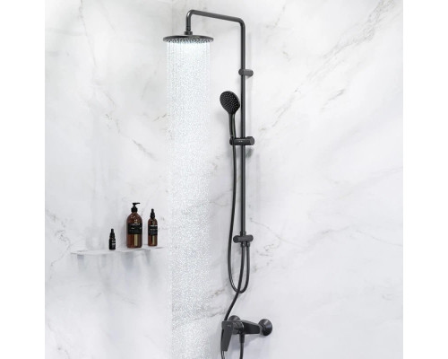 Купить Душевая стойка 220 мм AM.PM Gem F42890A24 в магазине сантехники Santeh-Crystal.ru