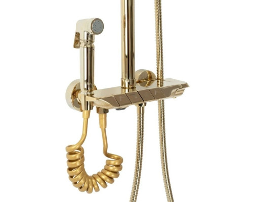 Заказать Душевая система 250 мм Rea Max REA-P6617 в магазине сантехники Santeh-Crystal.ru