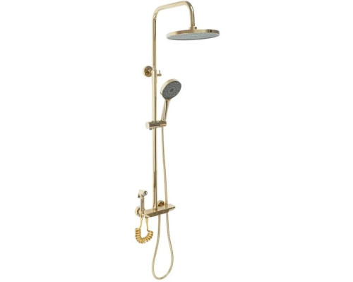 Заказать Душевая система 250 мм Rea Max REA-P6617 в магазине сантехники Santeh-Crystal.ru