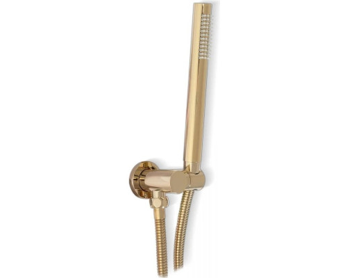 Приобрести Душевой комплект 250 мм Rea Lungo REA-P4110 в магазине сантехники Santeh-Crystal.ru