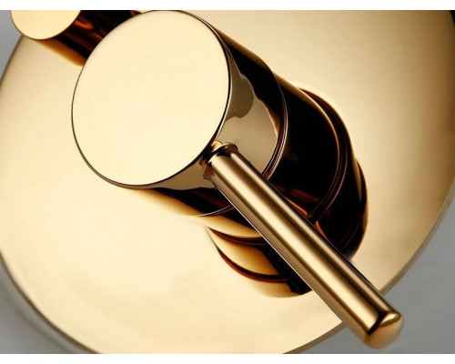 Приобрести Душевой комплект 250 мм Rea Lungo REA-P4110 в магазине сантехники Santeh-Crystal.ru