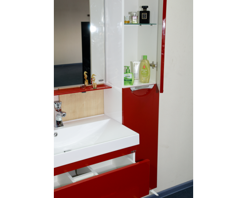 Заказать Жасмин - 30 Пенал красный универсальный прав. в магазине сантехники Santeh-Crystal.ru