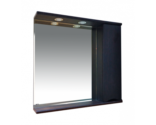 Приобрести Элвис - 85 Зеркало-шкаф прав. (свет) венге в магазине сантехники Santeh-Crystal.ru