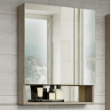 Дунай - 60 Зеркало-шкаф с полочкой Дунай - 60 Зеркало-шкаф с полочкой