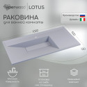 Раковина для ванной кварцевая Uperwood Lotus Quartz 100х50х13 см, белая матовая, жасмин