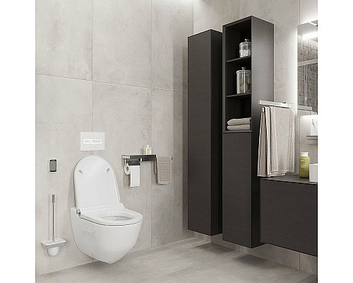 Santeh-Crystal.ru: Полотенцедержатель Axor Universal Accessories 42821000 двойной поворотный Хром Приобрести Полотенцедержатель Axor Universal Accessories 42821000 двойной поворотный Хром в магазине сантехники Santeh-Crystal.ru