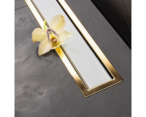 Santeh-Crystal.ru: Душевой лоток Pestan Confluo Premium Line 650 White Glass Gold 13100122 с решеткой Белый глянцевый Золото глянцевое Заказать Душевой лоток Pestan Confluo Premium Line 650 White Glass Gold 13100122 с решеткой Белый глянцевый Золото глянцевое в магазине сантехники Santeh-Crystal.ru
