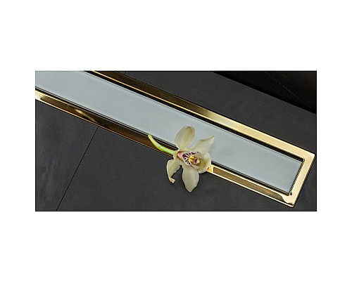 Santeh-Crystal.ru: Душевой лоток Pestan Confluo Premium Line 650 White Glass Gold 13100122 с решеткой Белый глянцевый Золото глянцевое Заказать Душевой лоток Pestan Confluo Premium Line 650 White Glass Gold 13100122 с решеткой Белый глянцевый Золото глянцевое в магазине сантехники Santeh-Crystal.ru