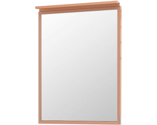 Купить Зеркало Allen Brau Priority 60 1.31013.60 с подсветкой Медь браш в магазине сантехники Santeh-Crystal.ru