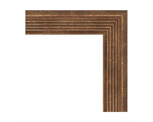 Заказать Зеркало Evoform Definite 93х73 BY 1039 в багетной раме - Сухой тростник 51 мм в магазине сантехники Santeh-Crystal.ru