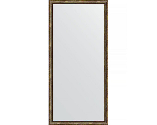 Купить Зеркало Evoform Definite 153х73 BY 1114 в багетной раме - Сухой тростник 51 мм в магазине сантехники Santeh-Crystal.ru