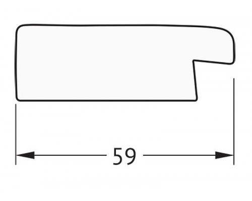 Купить Зеркало Evoform Definite 50х40 BY 1336 в багетной раме - Травленое серебро 59 мм в магазине сантехники Santeh-Crystal.ru