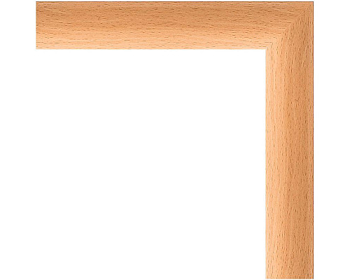 Заказать Зеркало Evoform Definite 130х70 BY 0748 в багетной раме - Бук 37 мм в магазине сантехники Santeh-Crystal.ru