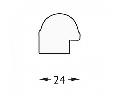 Заказать Зеркало Evoform Definite 127х67 BY 0746 в багетной раме - Золотой бамбук 24 мм в магазине сантехники Santeh-Crystal.ru