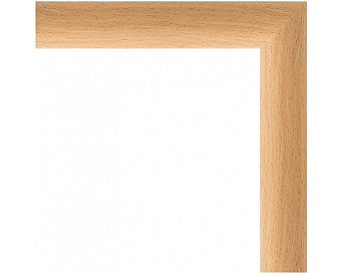 Заказать Зеркало Evoform Definite 100х50 BY 0697 в багетной раме - Бук 37 мм в магазине сантехники Santeh-Crystal.ru