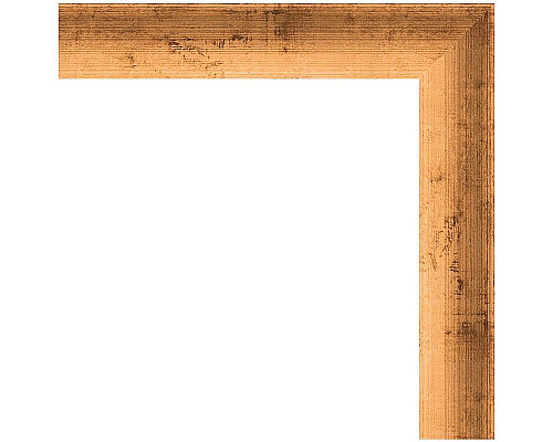 Приобрести Зеркало Evoform Definite 100х50 BY 0699 в багетной раме - Красная бронза 37 мм в магазине сантехники Santeh-Crystal.ru