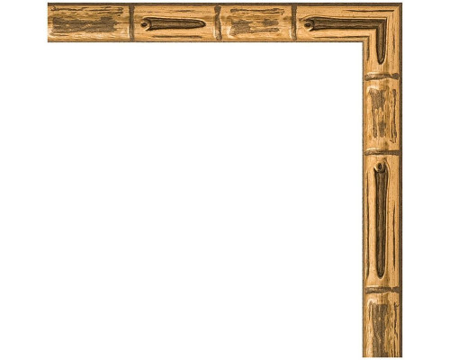 Приобрести Зеркало Evoform Definite 97х47 BY 0695 в багетной раме - Золотой бамбук 24 мм в магазине сантехники Santeh-Crystal.ru