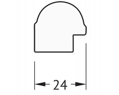 Приобрести Зеркало Evoform Definite 97х47 BY 0695 в багетной раме - Золотой бамбук 24 мм в магазине сантехники Santeh-Crystal.ru