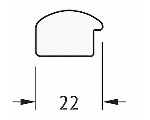 Заказать Зеркало Evoform Definite 98х48 BY 0689 в багетной раме - Орех 22 мм в магазине сантехники Santeh-Crystal.ru