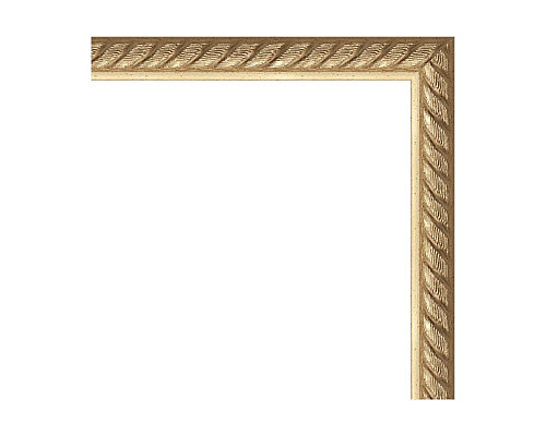 Купить Зеркало Evoform Definite 98х48 Витая латунь в магазине сантехники Santeh-Crystal.ru