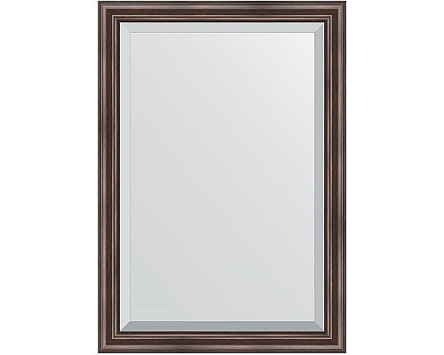 Заказать Зеркало Evoform Exclusive 101х71 BY 1194 с фацетом в багетной раме - Палисандр 62 мм в магазине сантехники Santeh-Crystal.ru