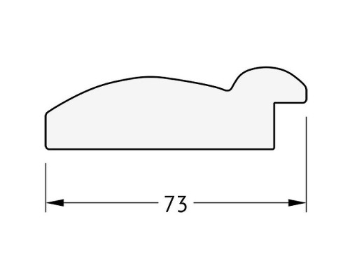 Приобрести Зеркало Evoform Exclusive 113х53 BY 1146 с фацетом в багетной раме - Серебряный бамбук 73 мм в магазине сантехники Santeh-Crystal.ru