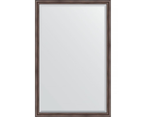 Купить Зеркало Evoform Exclusive 171х111 BY 1214 с фацетом в багетной раме - Палисандр 62 мм в магазине сантехники Santeh-Crystal.ru
