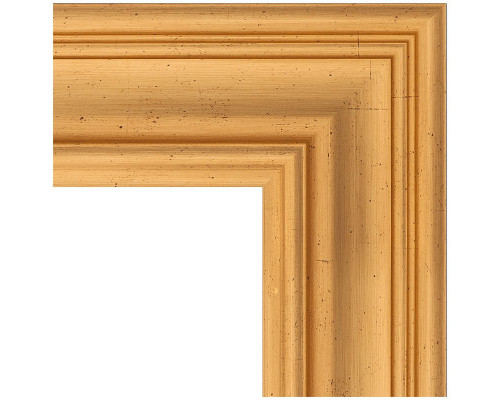 Заказать Зеркало Evoform Exclusive 169х79 BY 3600 с фацетом в багетной раме - Травленое золото 99 мм в магазине сантехники Santeh-Crystal.ru