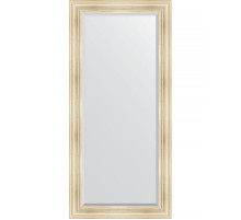 Зеркало Evoform Exclusive 169х79 BY 3601 с фацетом в багетной раме - Травленое серебро 99 мм