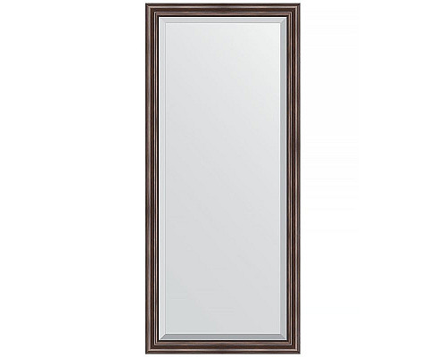 Приобрести Зеркало Evoform Exclusive 161х71 BY 1204 с фацетом в багетной раме - Палисандр 62 мм в магазине сантехники Santeh-Crystal.ru