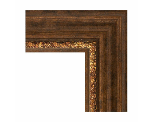 Купить Зеркало Evoform Exclusive 166х76 BY 3595 с фацетом в багетной раме - Римская бронза 88 мм в магазине сантехники Santeh-Crystal.ru