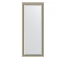 Зеркало Evoform Exclusive Floor 201х81 BY 6120 с фацетом в багетной раме - Хамелеон 88 мм