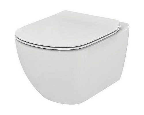 Santeh-Crystal.ru: Комплект биде с унитазом Ideal Standard Tesi PT457001 с сиденьем Микролифт Купить Комплект биде с унитазом Ideal Standard Tesi PT457001 с сиденьем Микролифт в магазине сантехники Santeh-Crystal.ru
