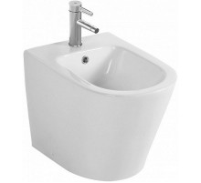 Биде Jacob Delafon Rodin+ EBJ0002-00 Белое