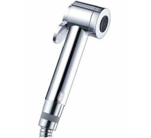 Гигиенический душ Bossini Paloma Aerato B01443.030 Хром