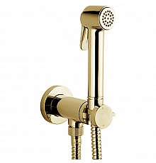 Гигиенический душ со смесителем Bossini Paloma Brass E37005B.021 Золото
