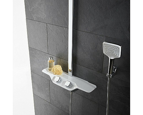 Приобрести Ручной душ Kludi Freshline 6450005-00 Хром Белый в магазине сантехники Santeh-Crystal.ru