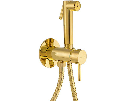 Santeh-Crystal.ru: Гигиенический душ со смесителем Migliore Fortis Gold 31554 (30454) Золото Приобрести Гигиенический душ со смесителем Migliore Fortis Gold 31554 (30454) Золото в магазине сантехники Santeh-Crystal.ru