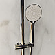 Купить Душевая система RGW Shower Panels SP-31 51140131-01 Хром в магазине сантехники Santeh-Crystal.ru