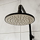 Приобрести Душевая система RGW Shower Panels SP-31B 51140131-04 Черная матовая в магазине сантехники Santeh-Crystal.ru