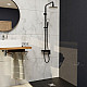 Купить Душевая система RGW Shower Panels SP-33B 51140133-04 Черная матовая в магазине сантехники Santeh-Crystal.ru