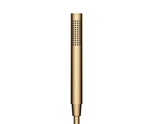 Ручной душ Sancos Ветвь (Stick) SC9036BB цвет Брашированная бронза
