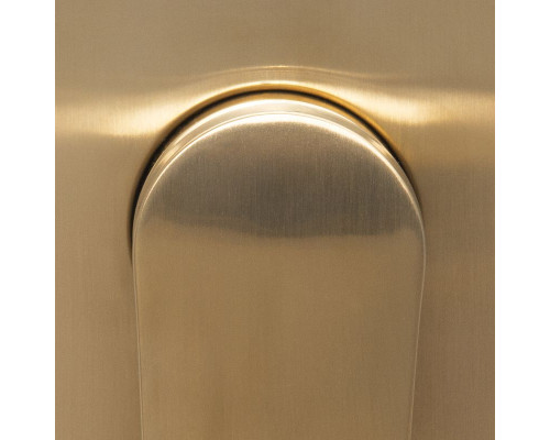 Заказать Гигиенический душ WasserKRAFT A213 Золото матовое в магазине сантехники Santeh-Crystal.ru